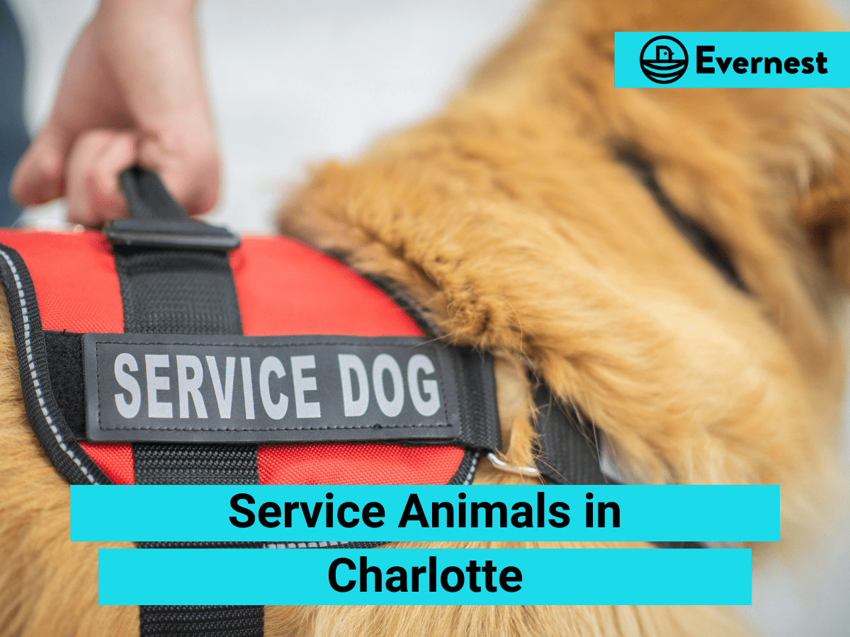 Service Animals: Everything Landlords Need to Know in Charlotte, North Carolina
